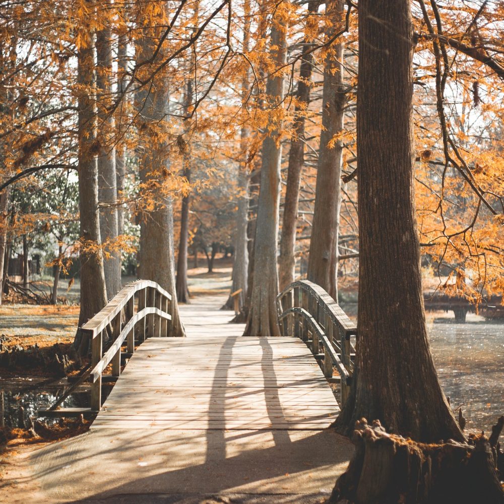 bridge-3013297_1920